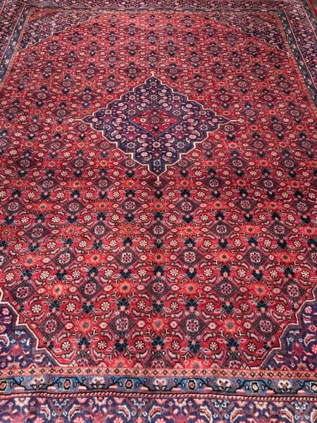 Arak Rug - 410 cm x 312 cm - Image 3