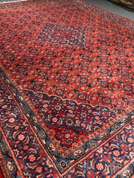 Arak Rug - 410 cm x 312 cm - Image 4